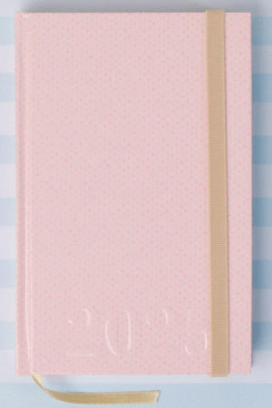 AGENDA ALE BLUSH