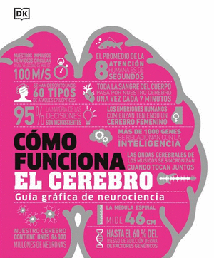 COMO FUNCIONA EL CEREBRO