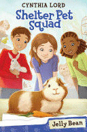JELLY BEAN - SHELTER PET SQUAD