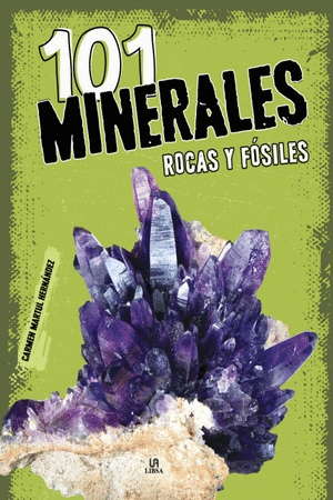 101 MINERALES ROCAS Y FOSILES