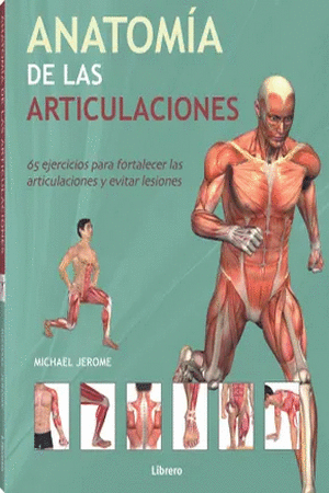 ANATOMIA DE LAS ARTICULACIONES